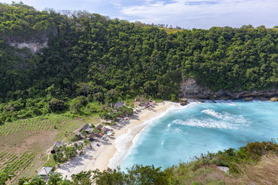 High angle view of trees by sea against sky