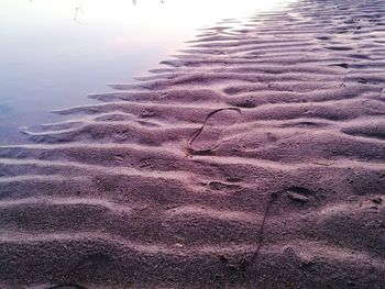 Close-up of sand at beach