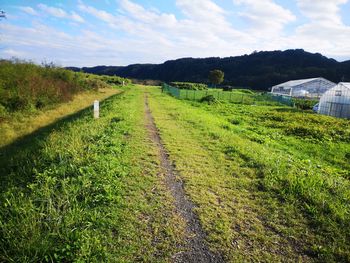 Scenic view of field against sky