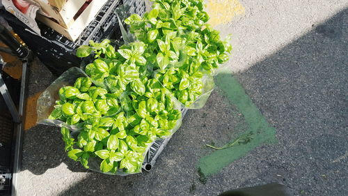 High angle view of vegetables for sale in market