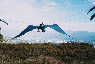 Bird flying in the sky