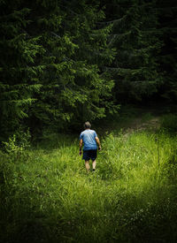 Rear view of man walking on grassy field in forest