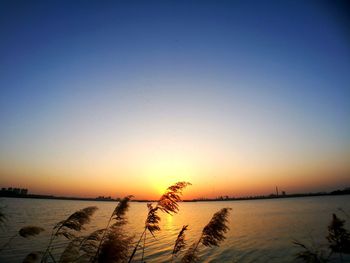 Scenic view of lake against clear sky at sunset