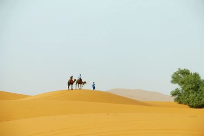 People at desert against clear sky