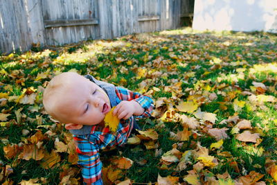 Boy with flowers in autumn leaves