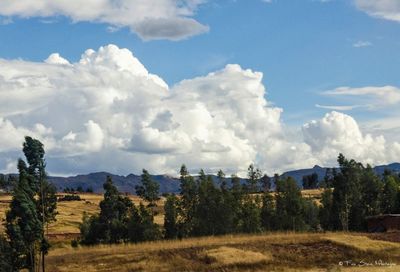 Scenic view of grassy field against sky