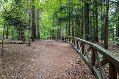 Walking trail in the mountains with wooden handrails