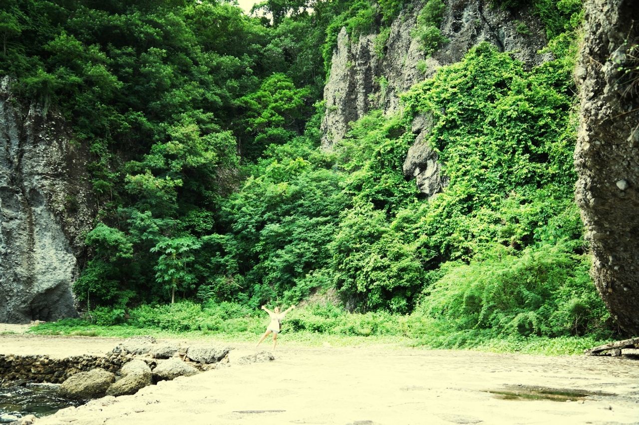 tree, growth, green color, nature, tranquility, tranquil scene, forest, beauty in nature, scenics, plant, rock - object, landscape, non-urban scene, day, lush foliage, mountain, road, outdoors, no people, dirt road