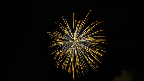 Low angle view of fireworks in sky at night