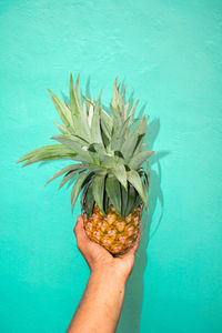 Close-up of hand holding fruit