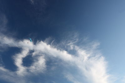 Low angle view of bird flying in sky