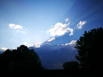 Low angle view of silhouette trees against sky