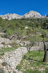 Scenic view of mountains against clear sky