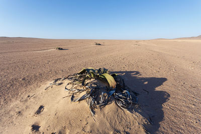 Text on sand against clear sky