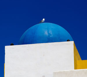 Low angle view of seagull perching on dome against clear blue sky