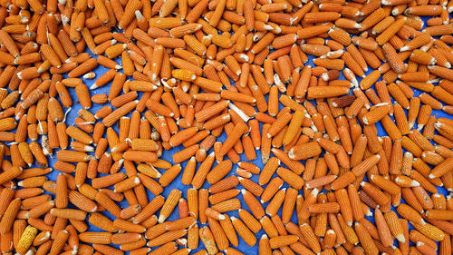 Full frame shot of multi colored candies