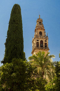 Low angle view of trees and building against sky