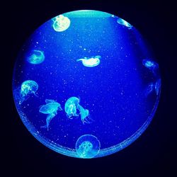 Close-up of bubbles in water