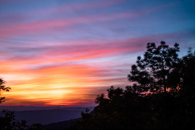 Silhouette trees against sky during sunset