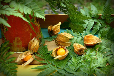 Close-up of fruits and leaves on table