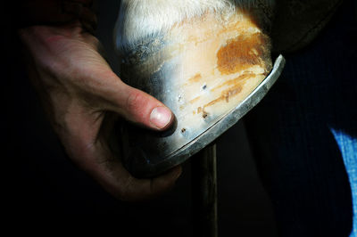 Cropped image of man shoeing horse