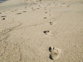 High angle view of footprints on sand