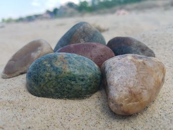 Close-up of pebbles on rock