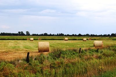 Hay bales on field against sky