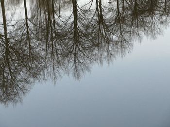 Bare tree against sky during winter