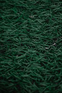 Full frame shot of grass