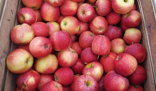 Full frame shot of apples