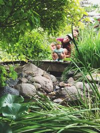 High angle view of woman on rock by tree