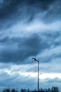 Low angle view of trees against cloudy sky