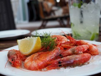 Close-up of shrimps scampi served in plate on table