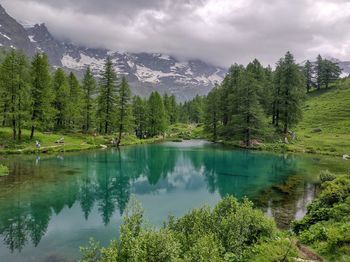 Scenic view of lake by trees against sky