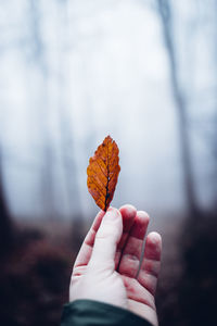 Close-up of hand holding autumn leaves