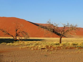 Scenic view of landscape against clear sky