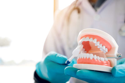 Midsection of dentist cleaning dentures with toothbrush