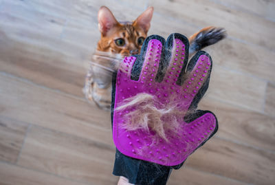 Glove for