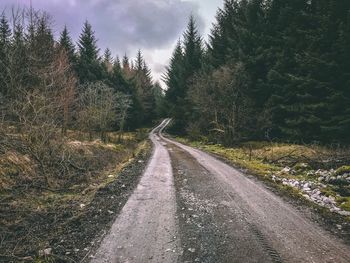 Road amidst trees against sky