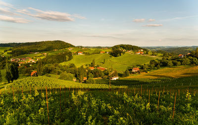 Scenic view of agricultural field against sky