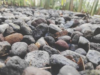 Close-up of stones on pebbles