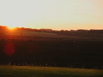 Scenic view of grassy field at sunset