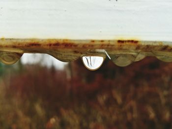 Close-up of water drop against sky