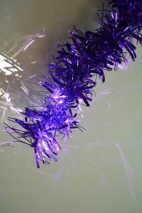 Close-up of purple flower tree