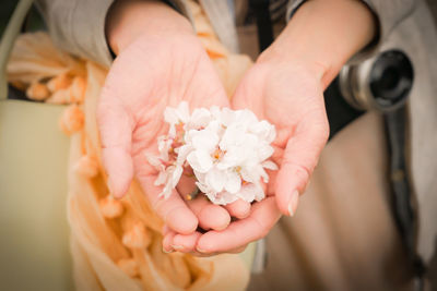 Midsection of woman holding flower