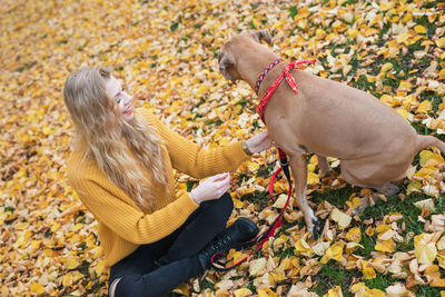 High angle view of woman with dog during autumn