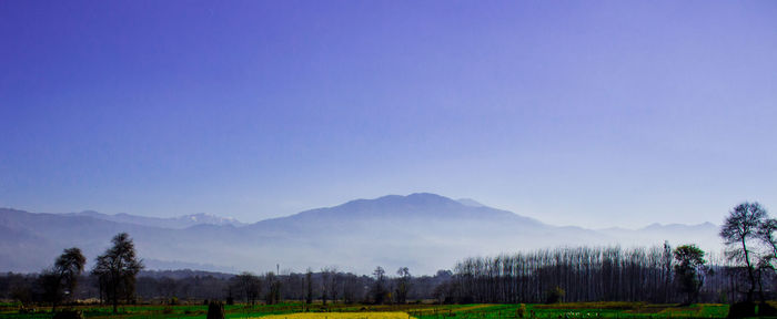 Scenic view of field against clear blue sky