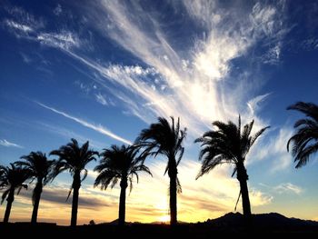 Silhouette palm trees on beach against sky