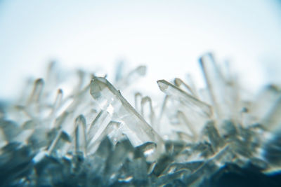 Close-up of water drops on plant